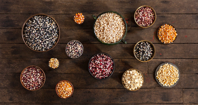 The ABCs of Nixtamal: All The Vocab You'll Need for Your Kernel-to-Masa Journey