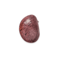 Heirloom Beans | Masienda Purple Ayocote Morado from Mexico