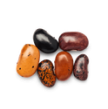 Beans