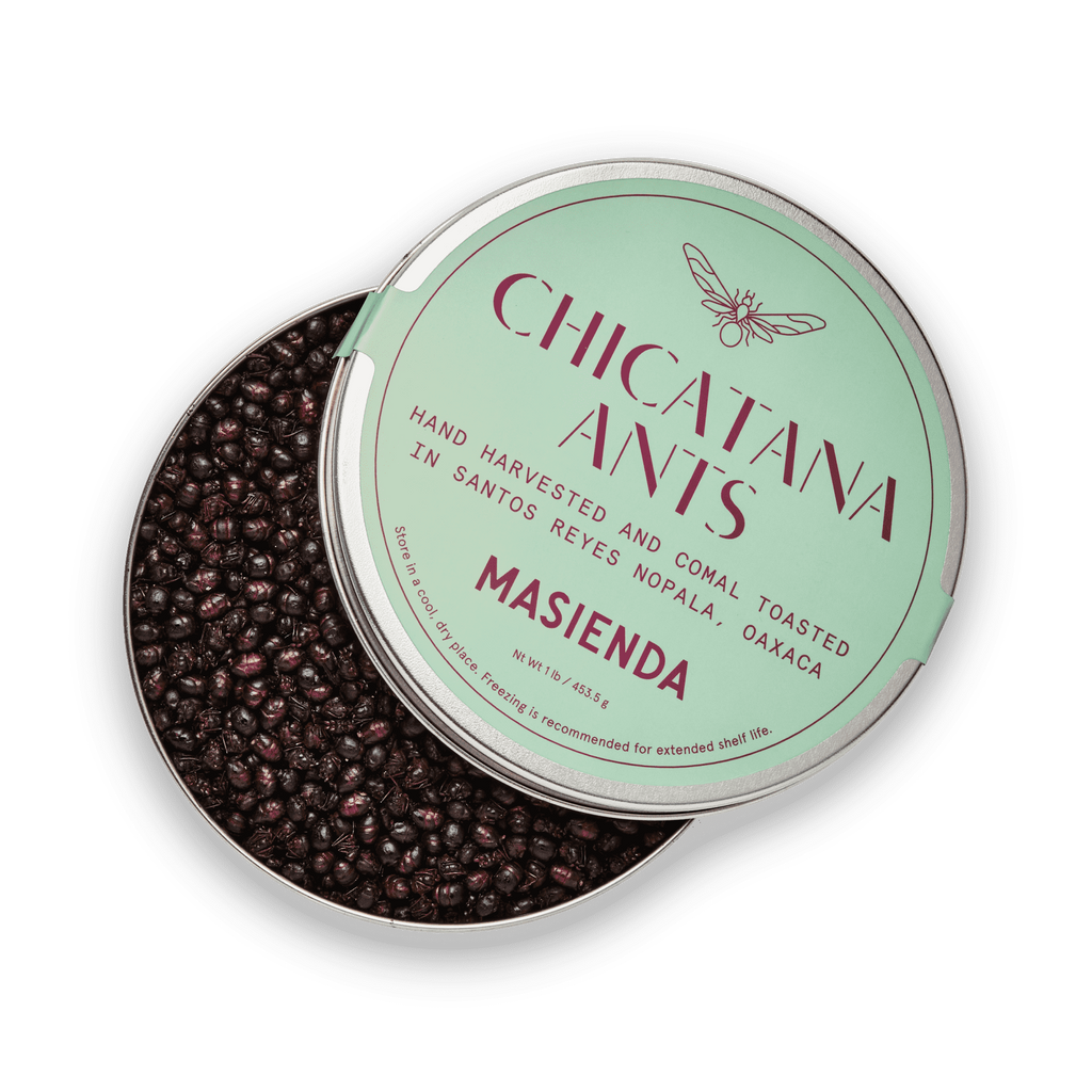 Chicatana Ants | Masienda Seasonal Chicatanas from Mexico