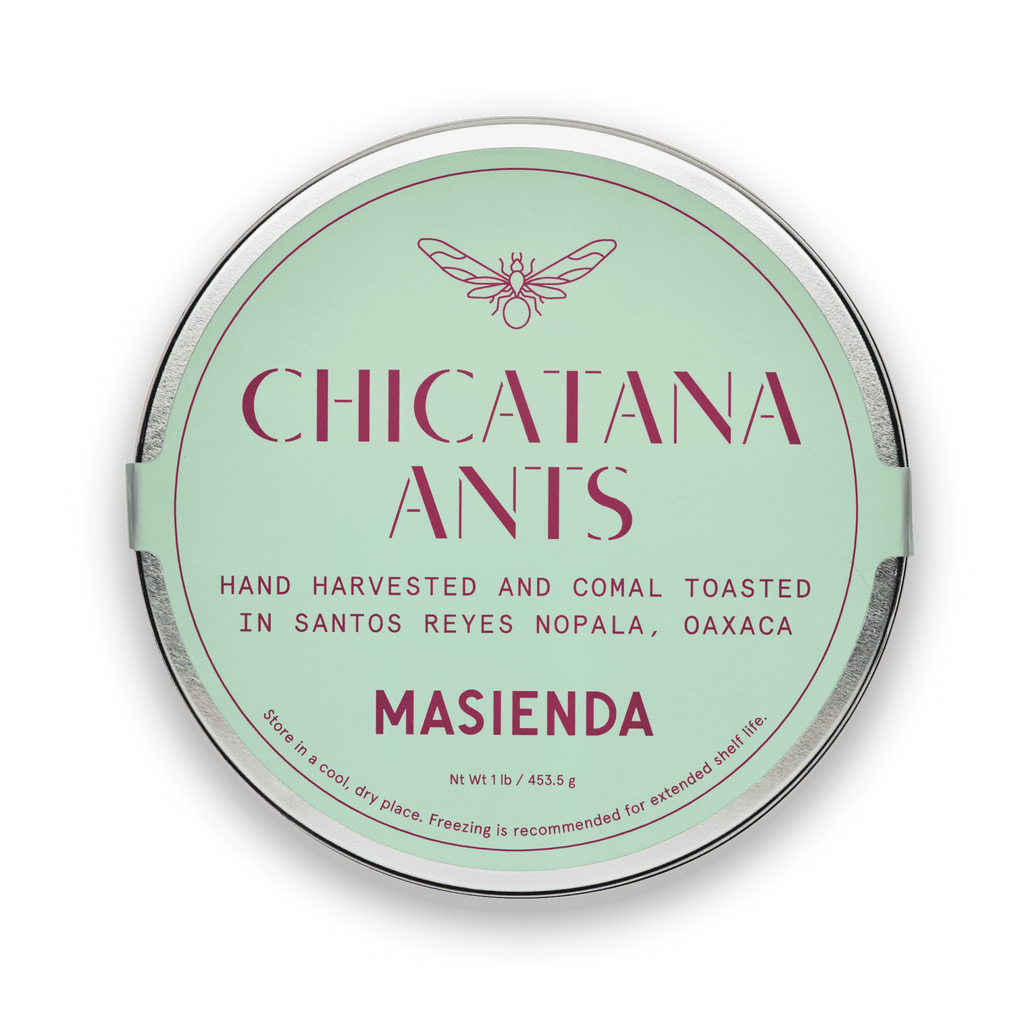 Chicatana Ants | Masienda Seasonal Chicatanas from Mexico