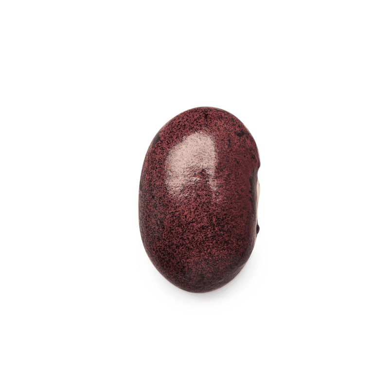 Heirloom Ayocote Pinto Beans | Masienda Mexican Beans | 55 lb