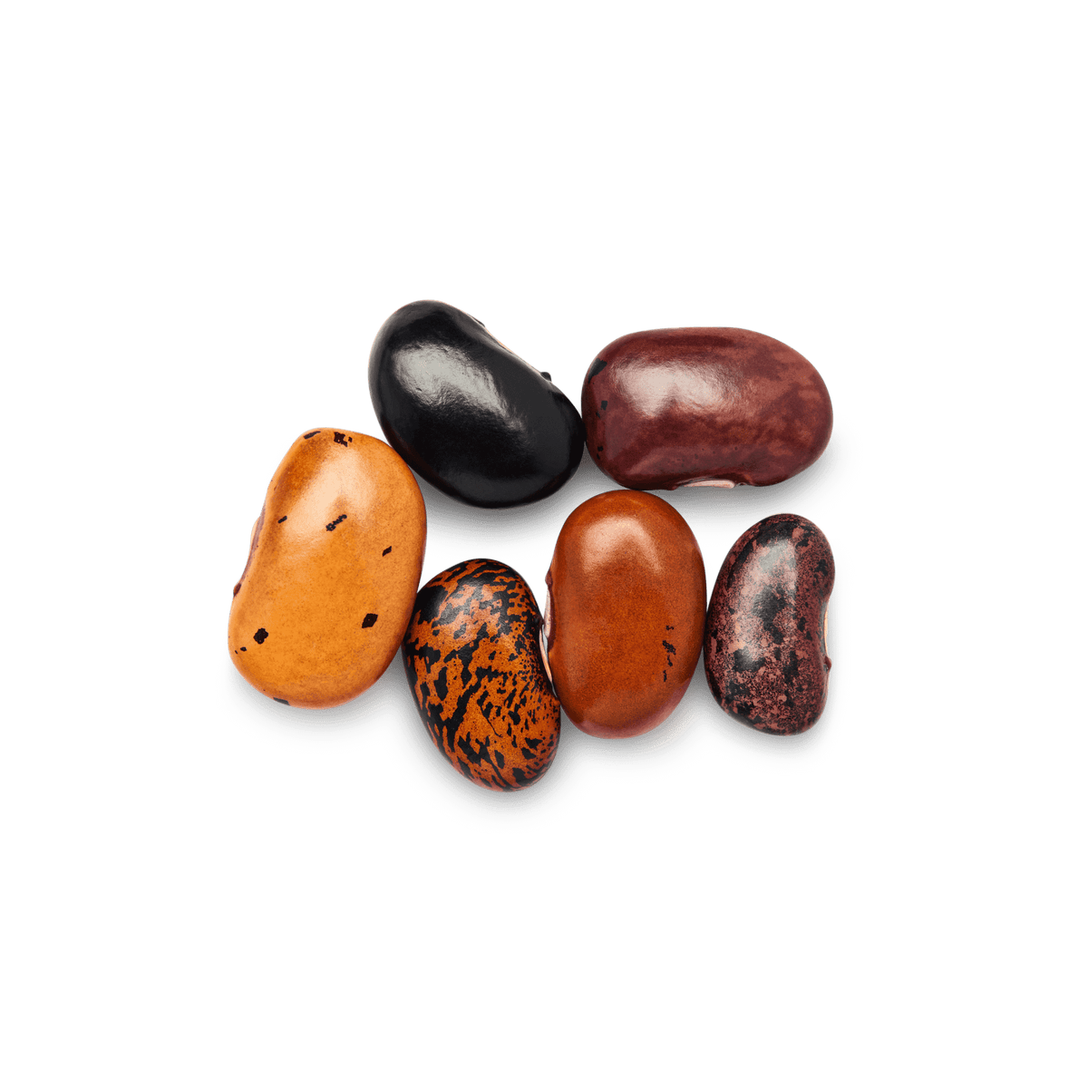 Heirloom Ayocote Pinto Beans | Masienda Mexican Beans | 55 lb