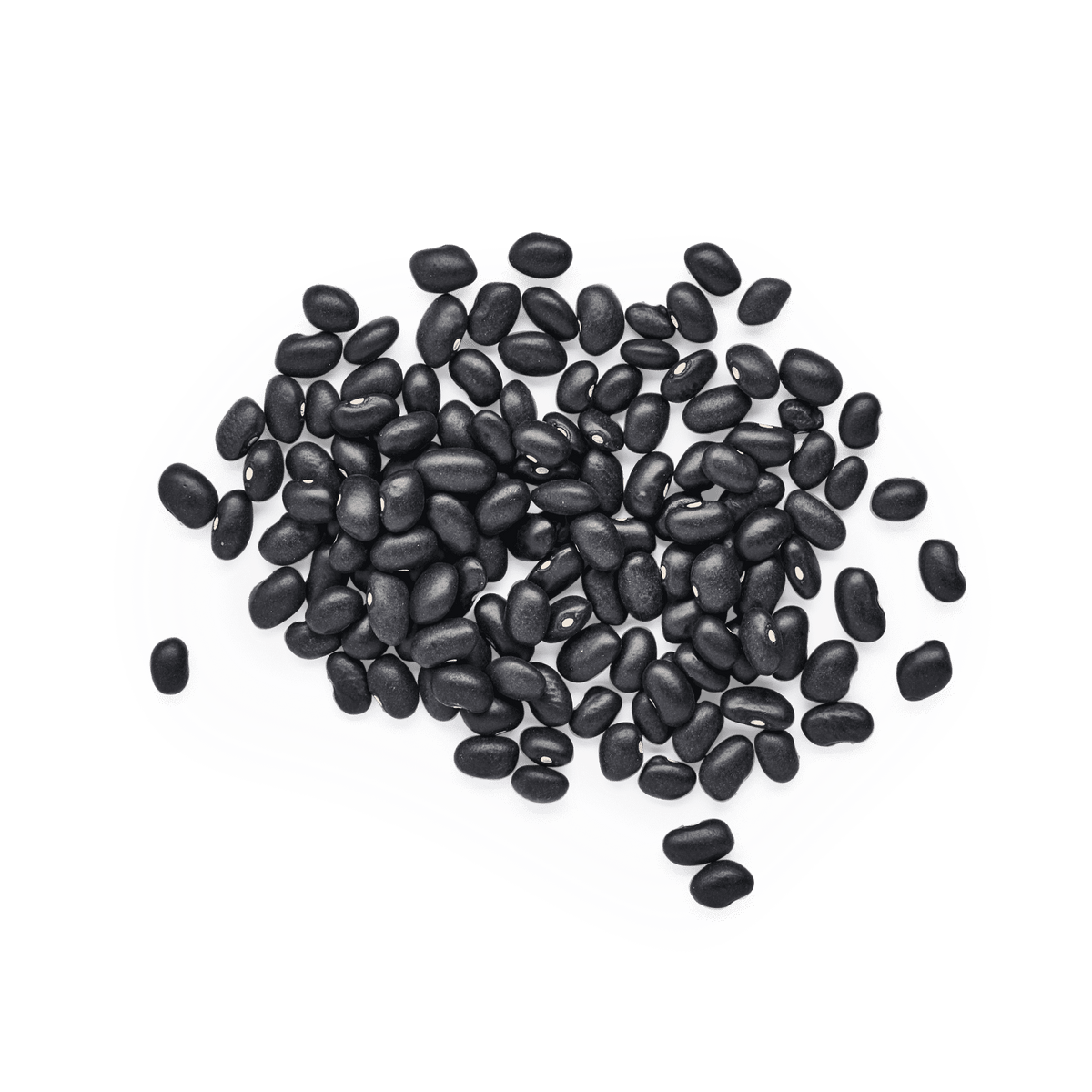 Heirloom Chatino Beans | Masienda Mexican Beans | 55 lb