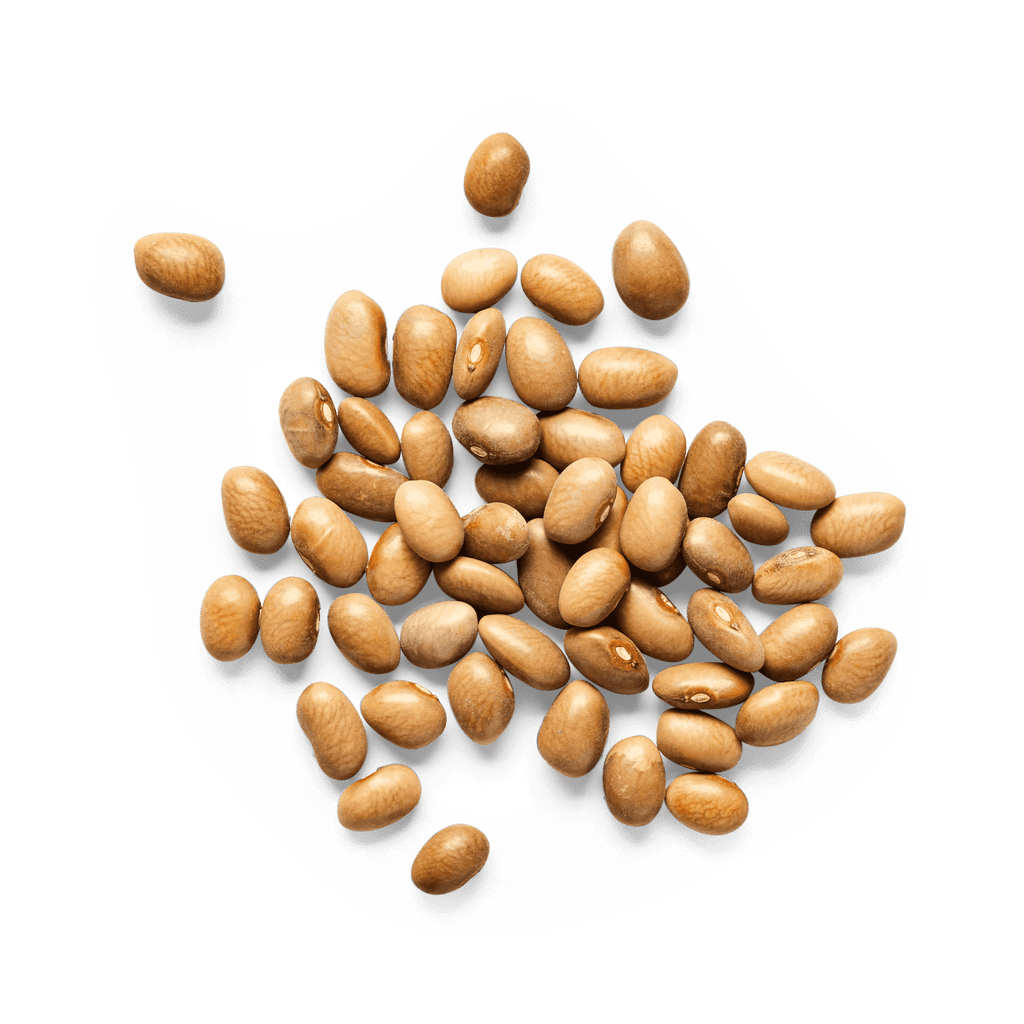 Heirloom Bayo Beans | Masienda Mexican Beans | 55 lb
