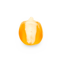 Heirloom Corn | Masienda Yellow Bolita Amarillo | 55 lb