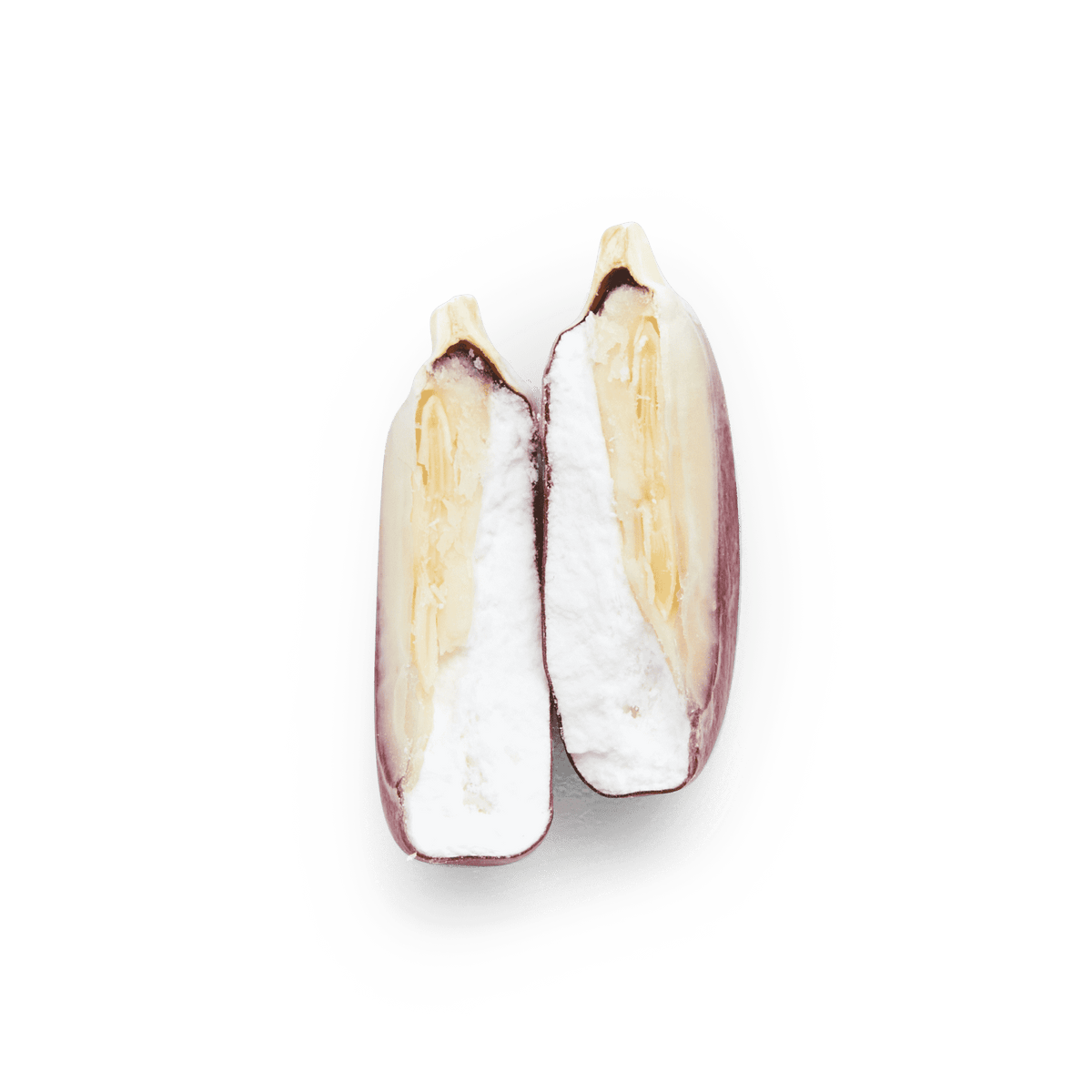 Heirloom Corn | Masienda Pink Xocoyul from Mexico